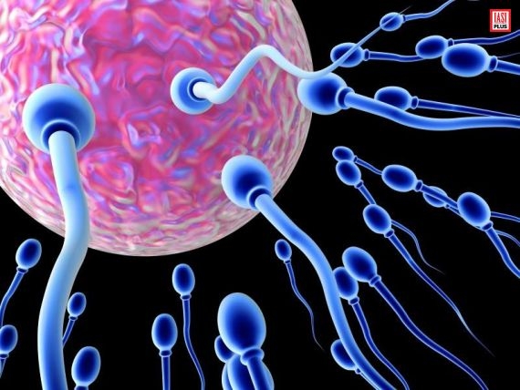 Fumatul si fertilitatea masculina